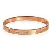 Elissa, bratara inox placata cu aur roz, colectia Rose